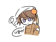 로하 느하 < 작가 >