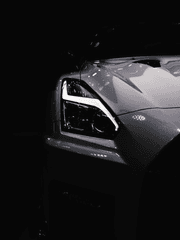 레이첼 그레이시.