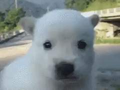 요즘 유행하는 그거 본 후기...