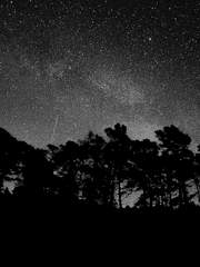 그리고 봄은 온다