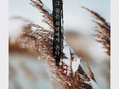 그 꿈은 북녘에서 온다 上