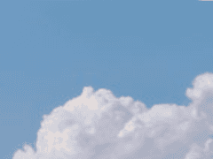 세상은 아름다움으로 가득 차있어요.