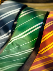 포켓몬 _ 호그와트 AU 드림 _ Welcome to hogwarts