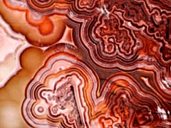 원석팟 제출 폼