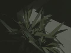 그림자극, 尹 情