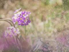 [중혁독자]재회