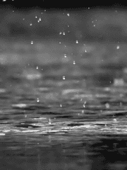 비오는날 검은우산