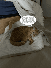 단편 모음 어쩌구