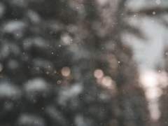 에딘 플로이드가 하고 싶은 말.