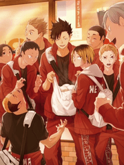 하이큐 드림/ 네코마 드림/ 모음