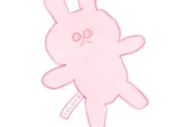 토끼 인형+고양이+당근