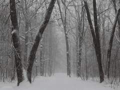 [히이린] 약속의 새벽