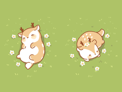 모찌사슴 포카도안 배포