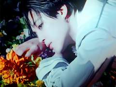 極 楽 浄 土(극락정토). 三