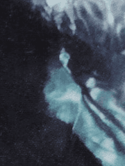 [하이큐] 검은 눈동자가 사랑을 말할 때