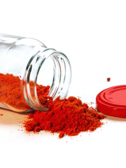 뱀파이어 시라부 선생