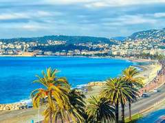 니스에서 매일 산책