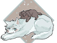 불합리적 증거인멸의 저지법