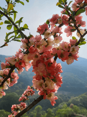 잡담,고민,우울