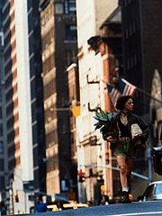 싱큐가 취향하는 감상