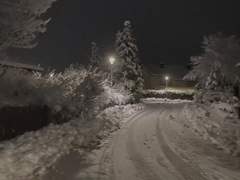 나의 추억 나의 향수