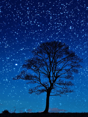 [ 노을에서 태어난 별 ] 잡담