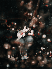 사월의 진눈깨비