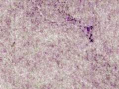 화산귀환: 화산파 안전수칙