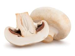 [NCT] 나만의 아기 양송이.