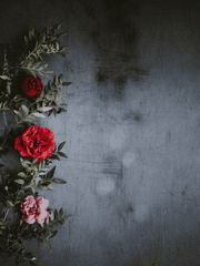 게임 타래 백업