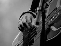 bassist