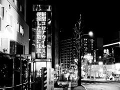 사랑은 지옥에 온 개