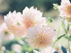 [랩진] 부드러운 살결 (13)