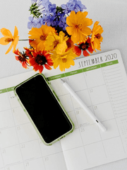 레하 드랍글 모음