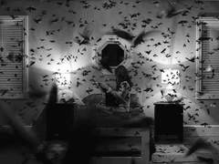 타인의 시선이 자신에게 향하면 오는 恐怖는.