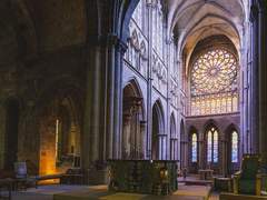 아르라브｜XY｜23｜인간｜소설