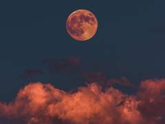 [호열대만] 밤하늘을 올려다 보세요