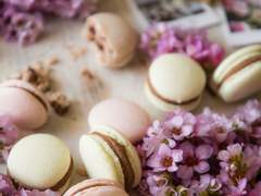 제로의 마법사 : 5월은 맑음