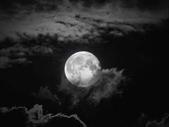 모든 준비는 되어 있었다