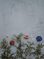 [밀선] 설렘, 사랑