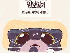 12.눈으로 영접한 냥젤리