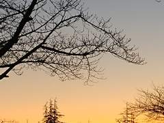 피르시크의 500일 편지