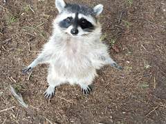 당일마감 커미션