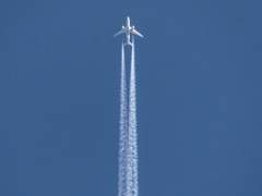 초능력 세계 여행: 꿈