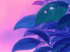 연성교환 신청서