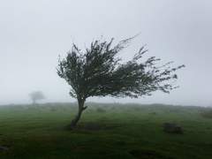 (잡담) 불어오는 바람은 불꽃을 흔들까