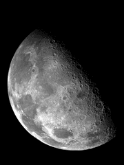 [장편] 911 CALLING (환승연애)