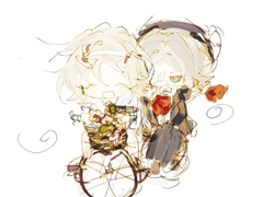 태양을 존경한 달