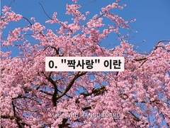 0. "짝사랑" 이란