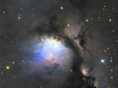 별들은 모를 반쪽의 이야기